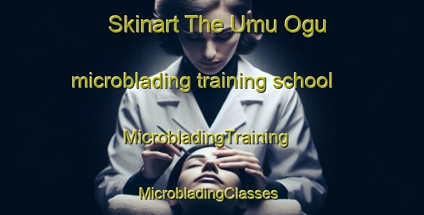 Skinart The Umu Ogu microblading training school | MicrobladingTraining | MicrobladingClasses | SkinartTraining-Nigeria