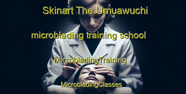 Skinart The Umuawuchi microblading training school | MicrobladingTraining | MicrobladingClasses | SkinartTraining-Nigeria