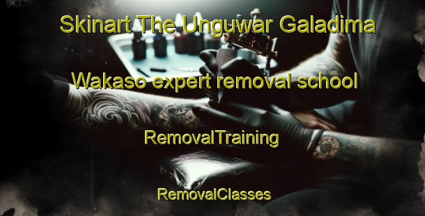 Skinart The Unguwar Galadima Wakaso expert removal school | RemovalTraining | RemovalClasses | SkinartTraining-Nigeria