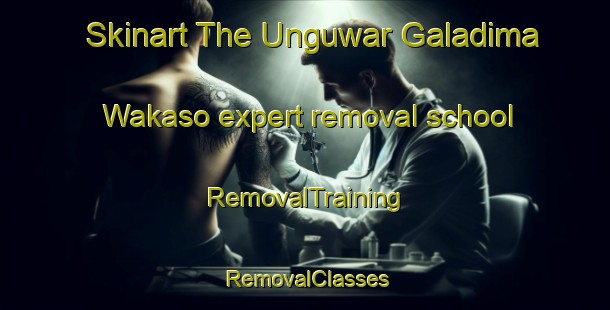 Skinart The Unguwar Galadima Wakaso expert removal school | RemovalTraining | RemovalClasses | SkinartTraining-Nigeria