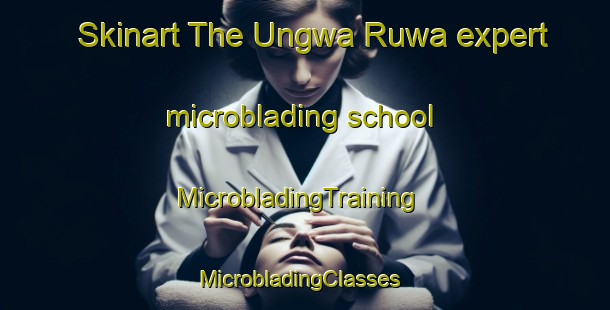 Skinart The Ungwa Ruwa expert microblading school | MicrobladingTraining | MicrobladingClasses | SkinartTraining-Nigeria