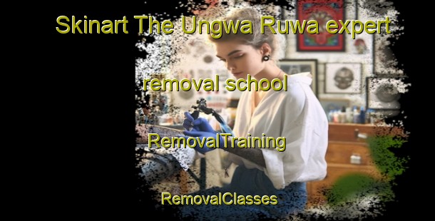 Skinart The Ungwa Ruwa expert removal school | RemovalTraining | RemovalClasses | SkinartTraining-Nigeria