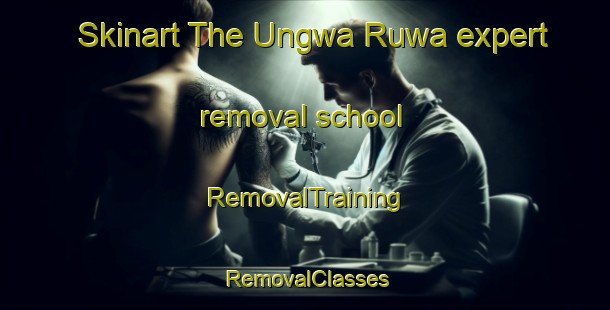 Skinart The Ungwa Ruwa expert removal school | RemovalTraining | RemovalClasses | SkinartTraining-Nigeria