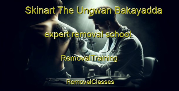 Skinart The Ungwan Bakayadda expert removal school | RemovalTraining | RemovalClasses | SkinartTraining-Nigeria