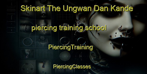 Skinart The Ungwan Dan Kande piercing training school | PiercingTraining | PiercingClasses | SkinartTraining-Nigeria