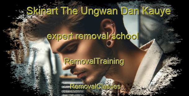 Skinart The Ungwan Dan Kauye expert removal school | RemovalTraining | RemovalClasses | SkinartTraining-Nigeria