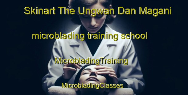 Skinart The Ungwan Dan Magani microblading training school | MicrobladingTraining | MicrobladingClasses | SkinartTraining-Nigeria