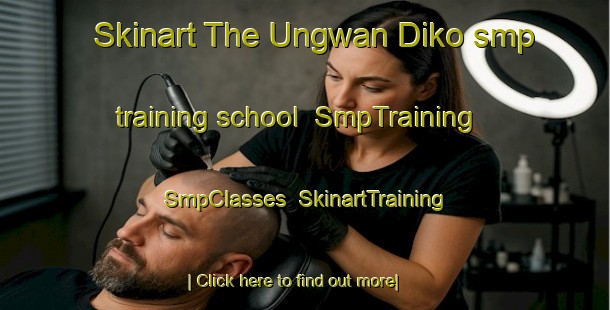 Skinart The Ungwan Diko smp training school | SmpTraining | SmpClasses | SkinartTraining-Nigeria