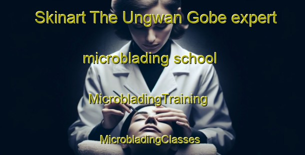 Skinart The Ungwan Gobe expert microblading school | MicrobladingTraining | MicrobladingClasses | SkinartTraining-Nigeria