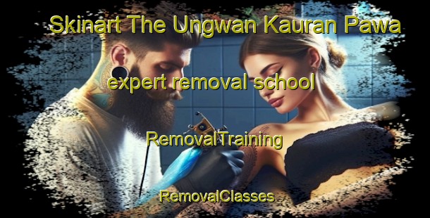 Skinart The Ungwan Kauran Pawa expert removal school | RemovalTraining | RemovalClasses | SkinartTraining-Nigeria