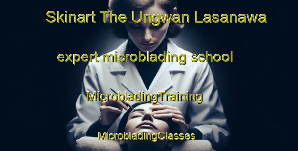 Skinart The Ungwan Lasanawa expert microblading school | MicrobladingTraining | MicrobladingClasses | SkinartTraining-Nigeria