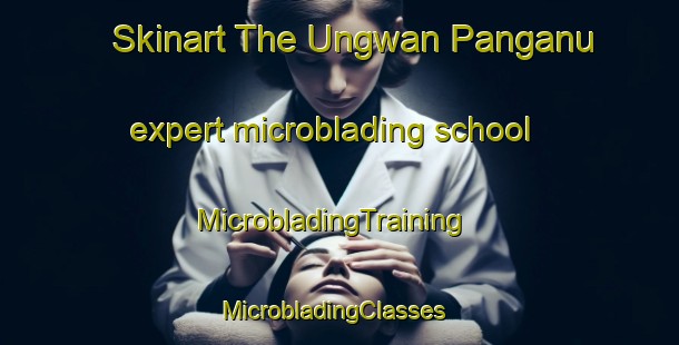 Skinart The Ungwan Panganu expert microblading school | MicrobladingTraining | MicrobladingClasses | SkinartTraining-Nigeria
