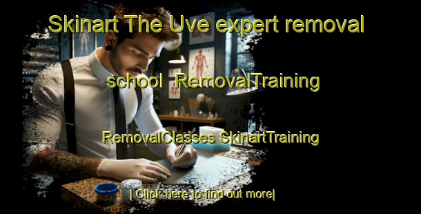 Skinart The Uve expert removal school | #RemovalTraining #RemovalClasses #SkinartTraining-Nigeria