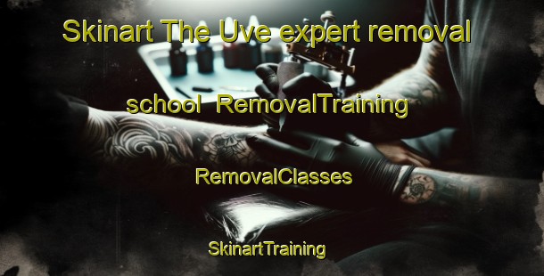 Skinart The Uve expert removal school | RemovalTraining | RemovalClasses | SkinartTraining-Nigeria