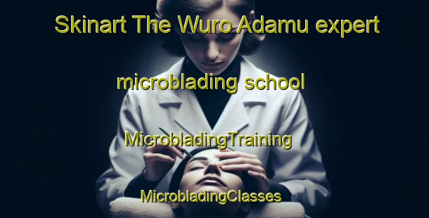 Skinart The Wuro Adamu expert microblading school | MicrobladingTraining | MicrobladingClasses | SkinartTraining-Nigeria