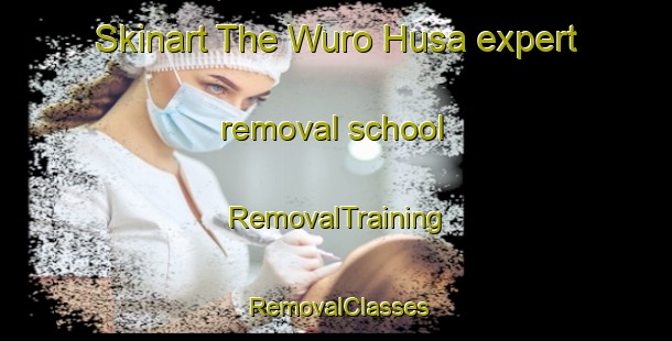Skinart The Wuro Husa expert removal school | RemovalTraining | RemovalClasses | SkinartTraining-Nigeria