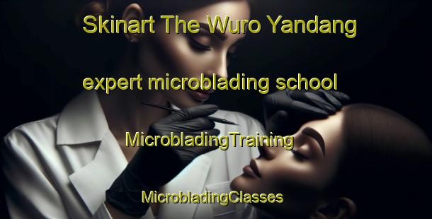 Skinart The Wuro Yandang expert microblading school | MicrobladingTraining | MicrobladingClasses | SkinartTraining-Nigeria