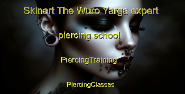 Skinart The Wuro Yarga expert piercing school | PiercingTraining | PiercingClasses | SkinartTraining-Nigeria