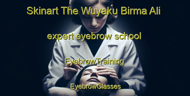 Skinart The Wuyaku Birma Ali expert eyebrow school | EyebrowTraining | EyebrowClasses | SkinartTraining-Nigeria