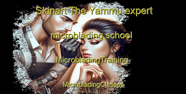 Skinart The Yammu expert microblading school | #MicrobladingTraining #MicrobladingClasses #SkinartTraining-Nigeria