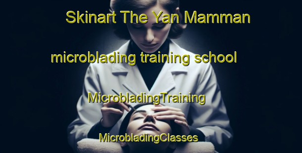 Skinart The Yan Mamman microblading training school | MicrobladingTraining | MicrobladingClasses | SkinartTraining-Nigeria