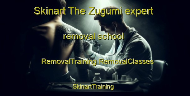 Skinart The Zugumi expert removal school | #RemovalTraining #RemovalClasses #SkinartTraining-Nigeria