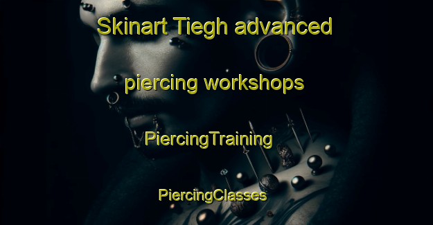 Skinart Tiegh advanced piercing workshops | PiercingTraining | PiercingClasses | SkinartTraining-Nigeria