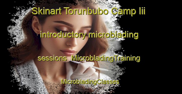 Skinart Torunbubo Camp Iii introductory microblading sessions | MicrobladingTraining | MicrobladingClasses | SkinartTraining-Nigeria