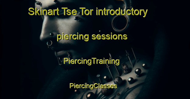 Skinart Tse Tor introductory piercing sessions | PiercingTraining | PiercingClasses | SkinartTraining-Nigeria