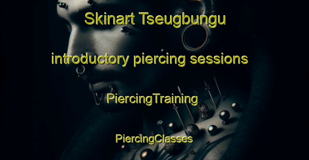 Skinart Tseugbungu introductory piercing sessions | #PiercingTraining #PiercingClasses #SkinartTraining-Nigeria