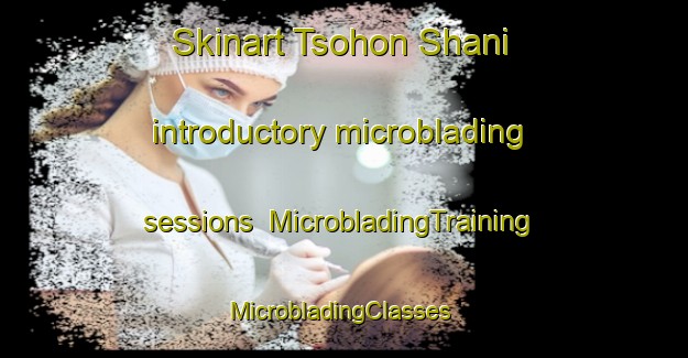 Skinart Tsohon Shani introductory microblading sessions | MicrobladingTraining | MicrobladingClasses | SkinartTraining-Nigeria