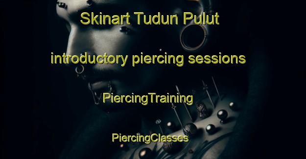 Skinart Tudun Pulut introductory piercing sessions | PiercingTraining | PiercingClasses | SkinartTraining-Nigeria