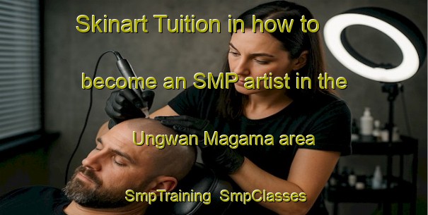 Skinart Tuition in how to become an SMP artist in the Ungwan Magama area | SmpTraining | SmpClasses | SkinartTraining-Nigeria