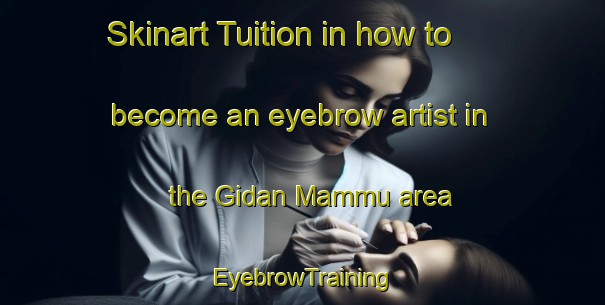Skinart Tuition in how to become an eyebrow artist in the Gidan Mammu area | EyebrowTraining | EyebrowClasses | SkinartTraining-Nigeria
