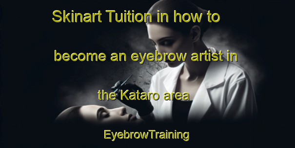 Skinart Tuition in how to become an eyebrow artist in the Kataro area | EyebrowTraining | EyebrowClasses | SkinartTraining-Nigeria