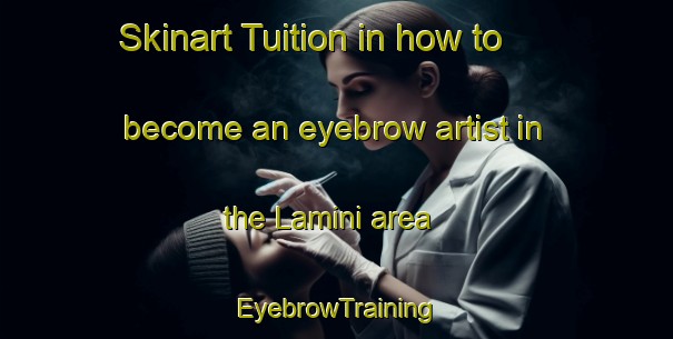 Skinart Tuition in how to become an eyebrow artist in the Lamini area | EyebrowTraining | EyebrowClasses | SkinartTraining-Nigeria