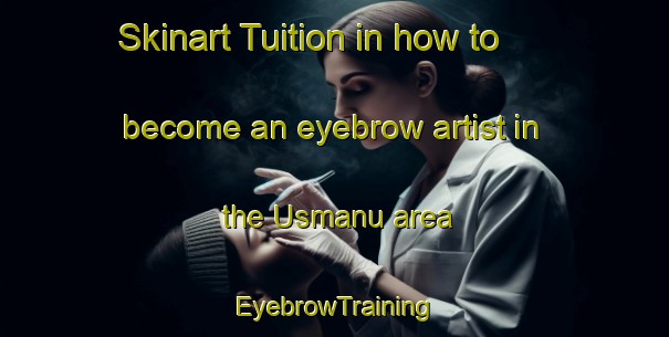 Skinart Tuition in how to become an eyebrow artist in the Usmanu area | EyebrowTraining | EyebrowClasses | SkinartTraining-Nigeria