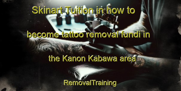 Skinart Tuition in how to become tattoo removal fundi in the Kanon Kabawa area | RemovalTraining | RemovalClasses | SkinartTraining-Nigeria