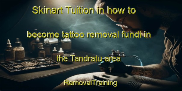 Skinart Tuition in how to become tattoo removal fundi in the Tandratu area | RemovalTraining | RemovalClasses | SkinartTraining-Nigeria