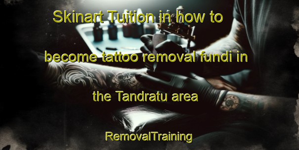 Skinart Tuition in how to become tattoo removal fundi in the Tandratu area | RemovalTraining | RemovalClasses | SkinartTraining-Nigeria