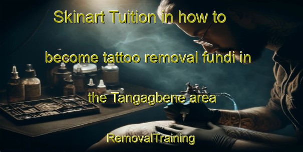 Skinart Tuition in how to become tattoo removal fundi in the Tangagbene area | RemovalTraining | RemovalClasses | SkinartTraining-Nigeria