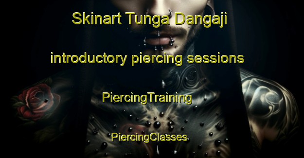 Skinart Tunga Dangaji introductory piercing sessions | PiercingTraining | PiercingClasses | SkinartTraining-Nigeria