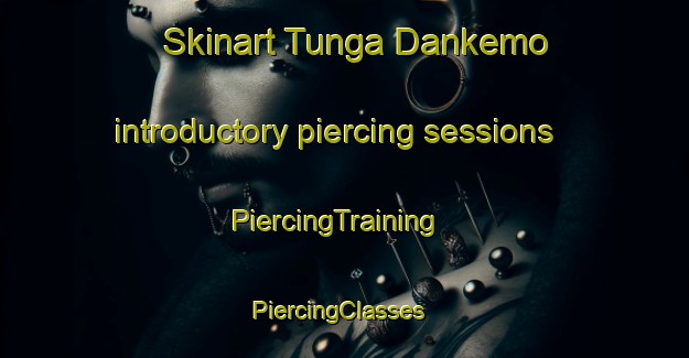 Skinart Tunga Dankemo introductory piercing sessions | PiercingTraining | PiercingClasses | SkinartTraining-Nigeria