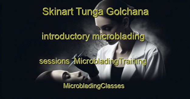 Skinart Tunga Golchana introductory microblading sessions | MicrobladingTraining | MicrobladingClasses | SkinartTraining-Nigeria