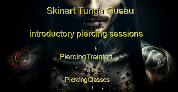 Skinart Tunga Gusau introductory piercing sessions | PiercingTraining | PiercingClasses | SkinartTraining-Nigeria