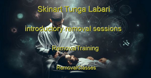 Skinart Tunga Labari introductory removal sessions | RemovalTraining | RemovalClasses | SkinartTraining-Nigeria