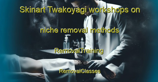 Skinart Twakoyagi workshops on niche removal methods | RemovalTraining | RemovalClasses | SkinartTraining-Nigeria