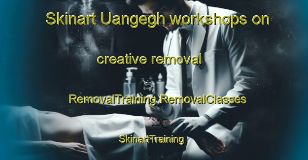 Skinart Uangegh workshops on creative removal | #RemovalTraining #RemovalClasses #SkinartTraining-Nigeria