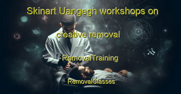 Skinart Uangegh workshops on creative removal | RemovalTraining | RemovalClasses | SkinartTraining-Nigeria