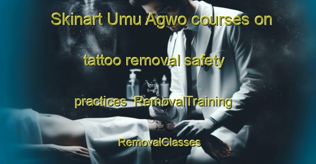 Skinart Umu Agwo courses on tattoo removal safety practices | RemovalTraining | RemovalClasses | SkinartTraining-Nigeria